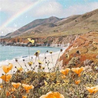 bet体育365官网正规