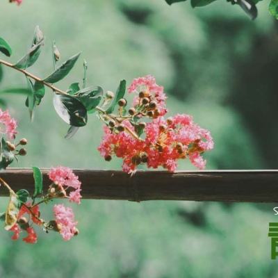 betway88必威东盟体育