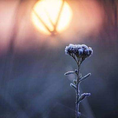 万博ManBetX登录网页版