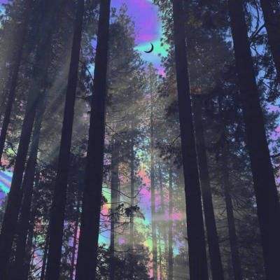 今期澳门三肖三码开一码下载手机版