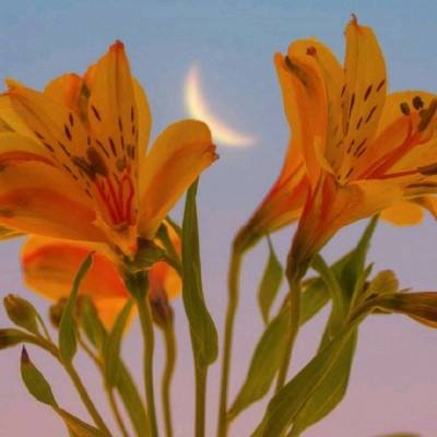 天博tb·体育综合官方网站