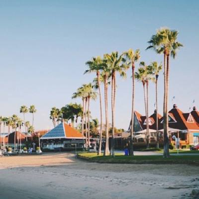 天天中彩票手机版登录