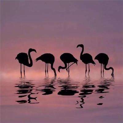 ag娱乐平台游戏中心app下载